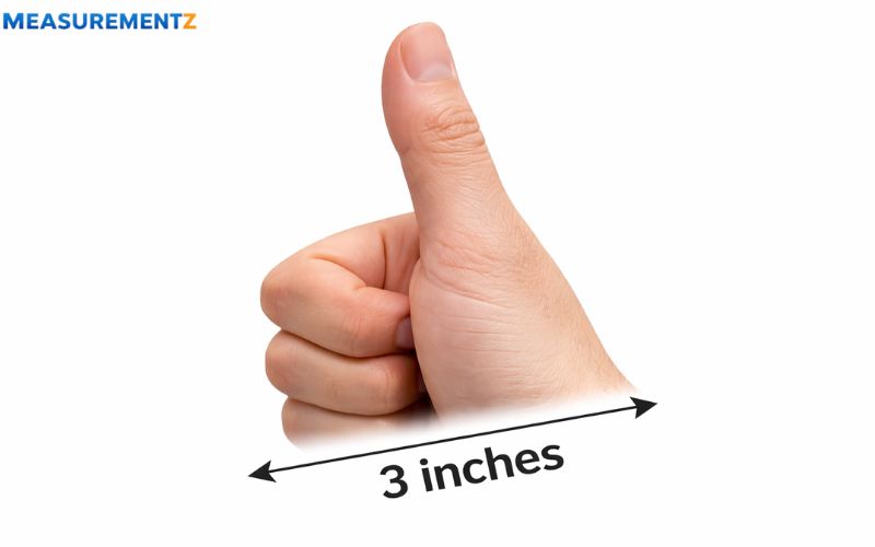 How Long Is 3 Inches
