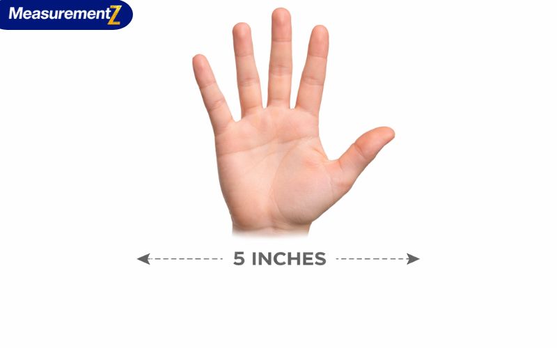 How Long Is 5 Inches