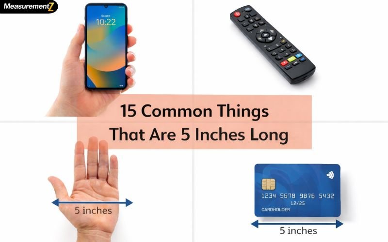 How Long Is 5 Inches