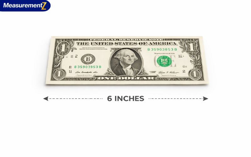 How Long Is 6 Inches