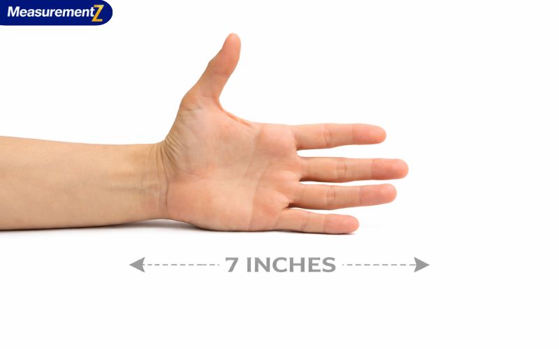 How Long Is 7 Inches