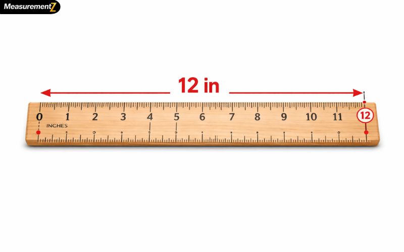 How Long Is 12 Inches