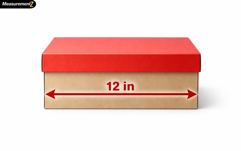 How Long Is 12 Inches