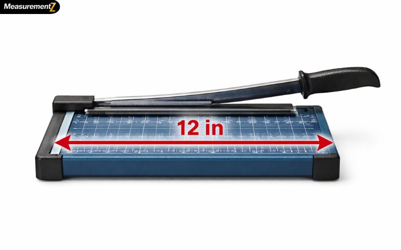 How Long Is 12 Inches