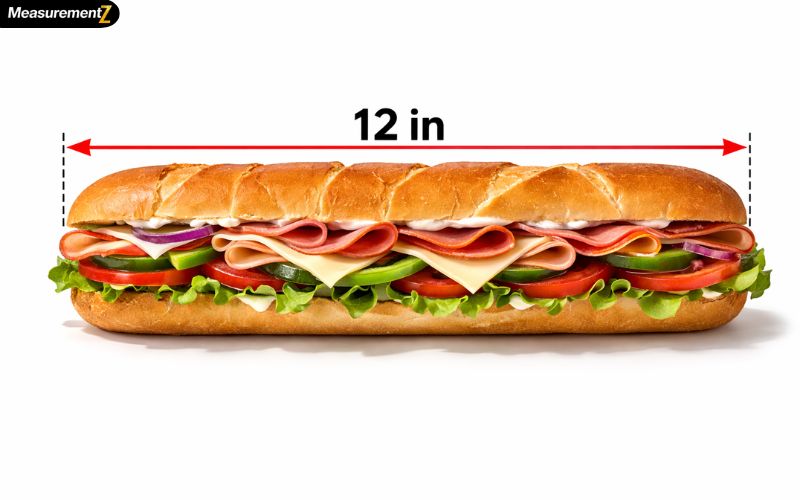 How Long Is 12 Inches