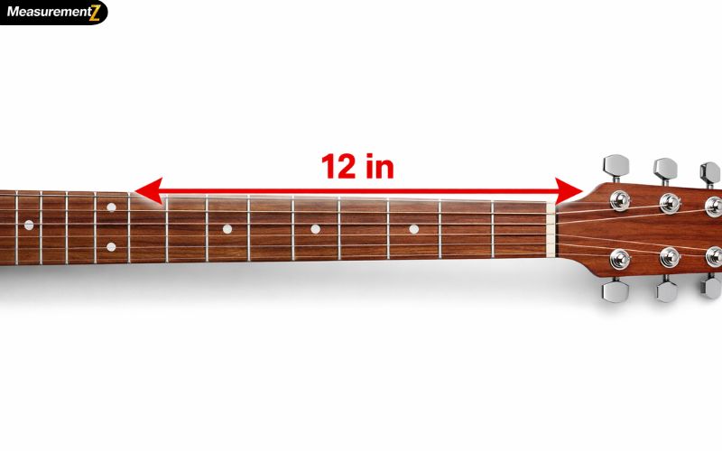 How Long Is 12 Inches