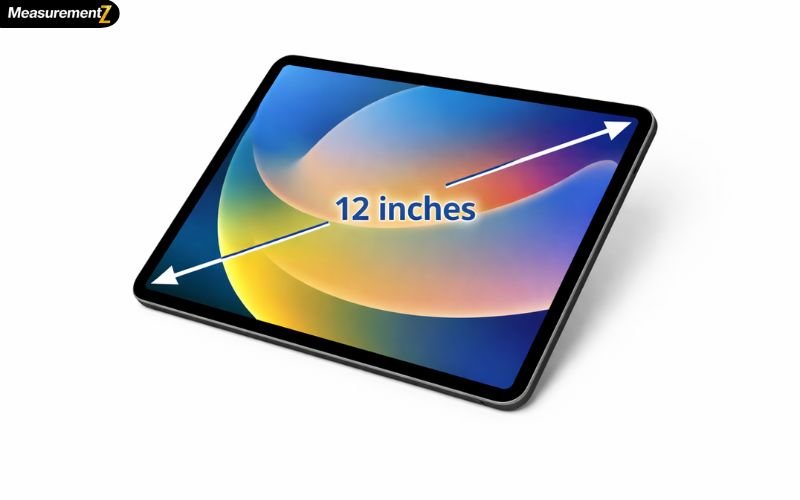 How Long Is 12 inches