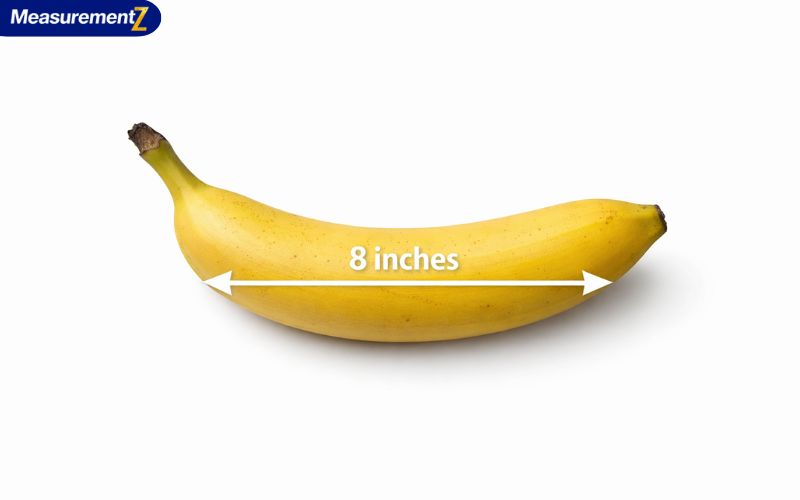 How Long Is 8 Inches