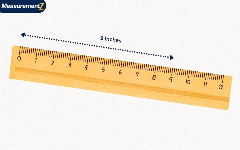 How Long Is 9 Inches