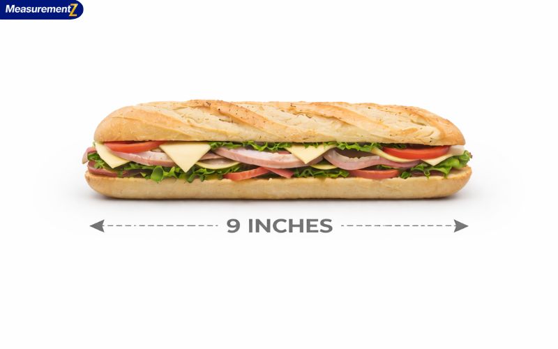 How Long Is 9 Inches