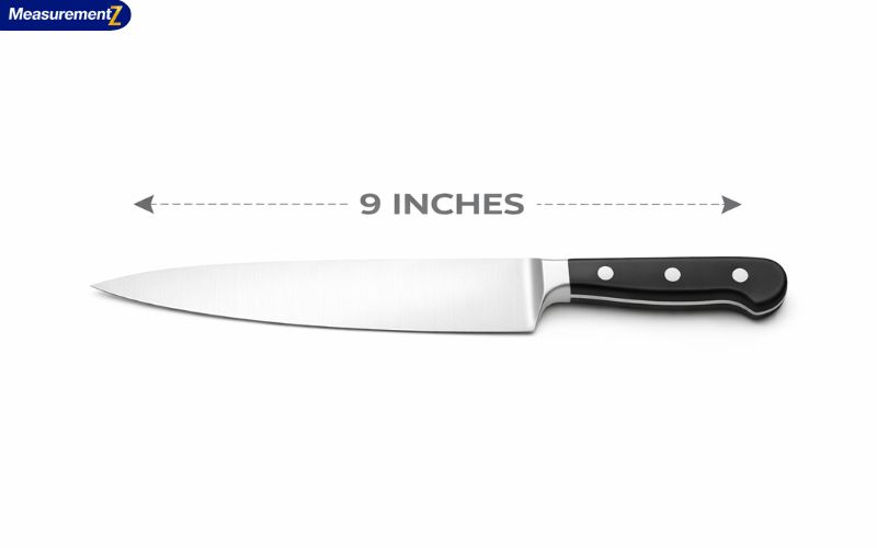 How Long Is 9 Inches