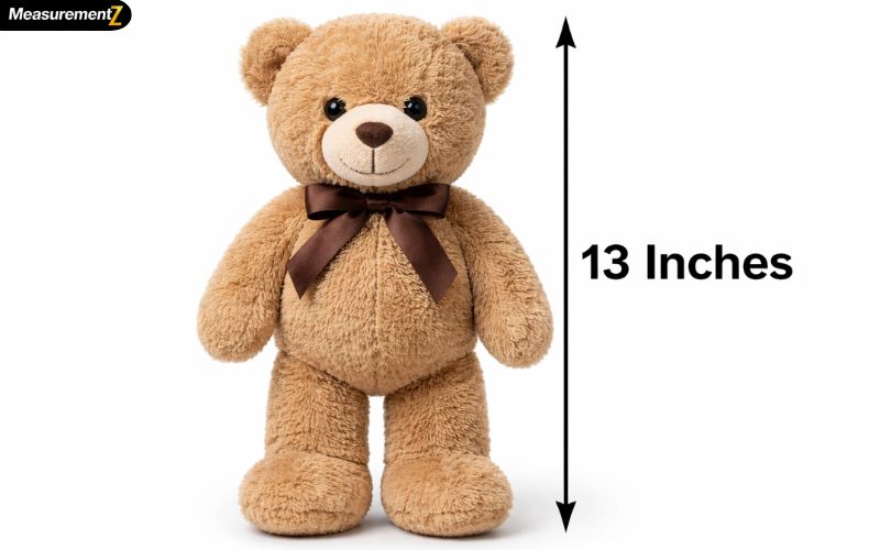 How Long Is 13 Inches