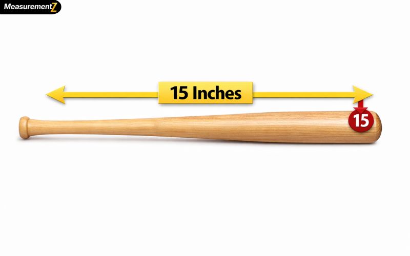 How Long Is 15 Inches