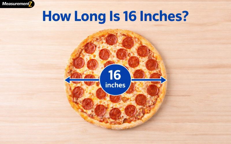How Long Is 16 Inches