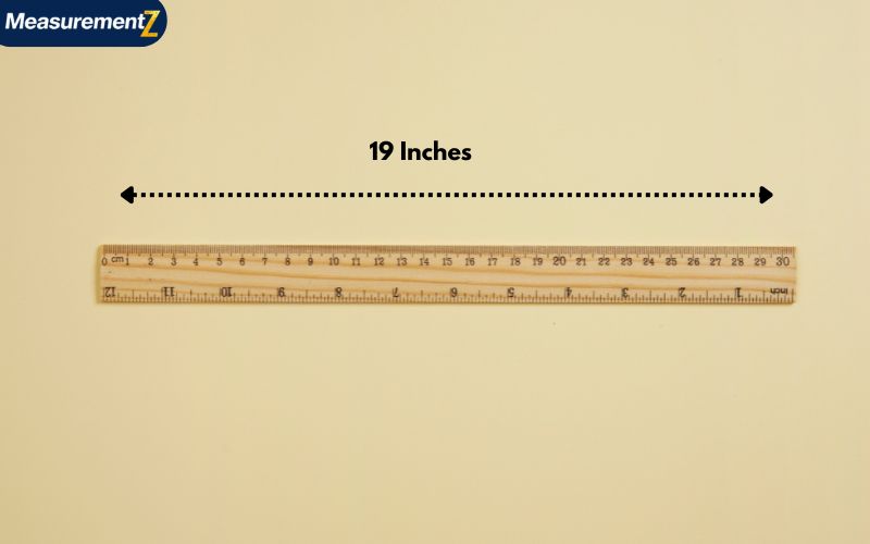How Long Is 19 Inches