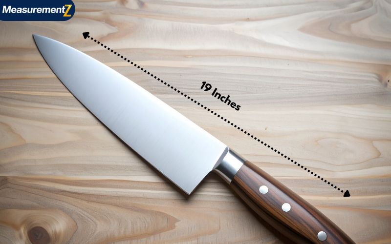 How Long Is 19 Inches