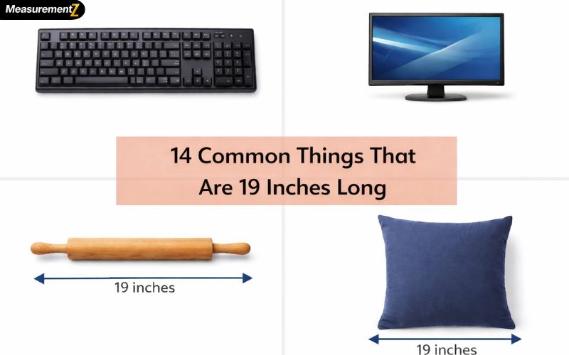 How Long Is 19 Inches