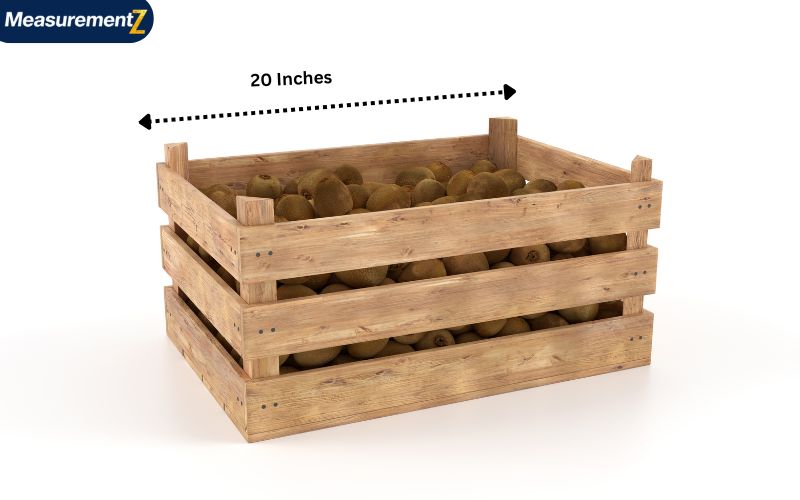 How Long Is 20 Inches