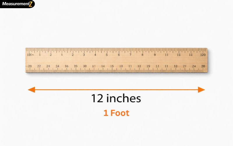 How Long Is a Foot