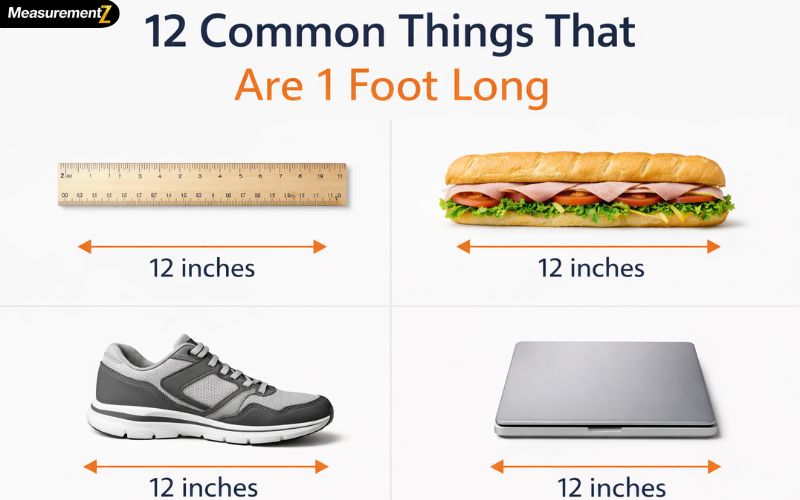 How Long Is a Foot