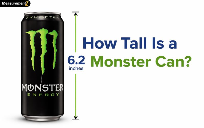 How Tall Is a Monster Can