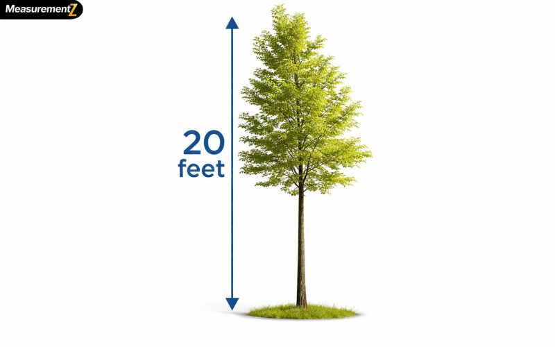 How Long Is 20 Feet
