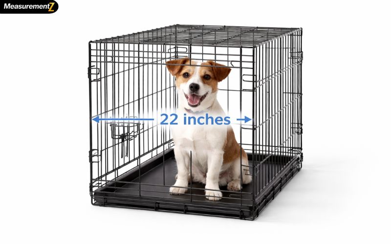 How Long Is 22 inches