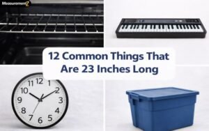 How Long Is 23 Inches