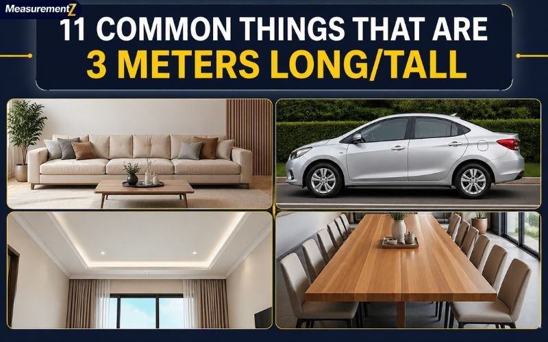 How Long Is 3 Meters