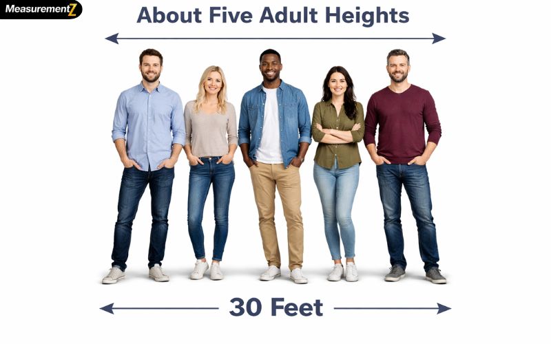 How Long Is 30 feet