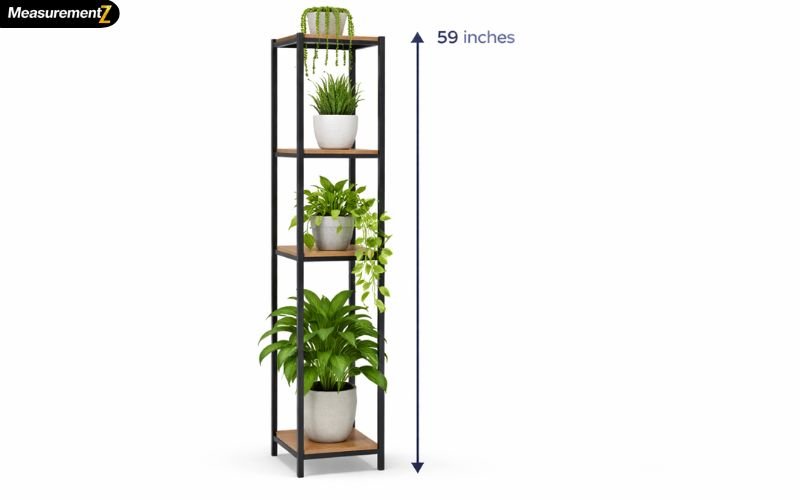 How Tall Is 59 Inches
