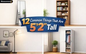 What Is 5'2 in Inches