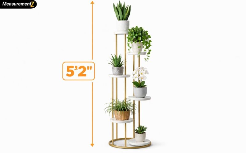 What Is 5'2 in Inches