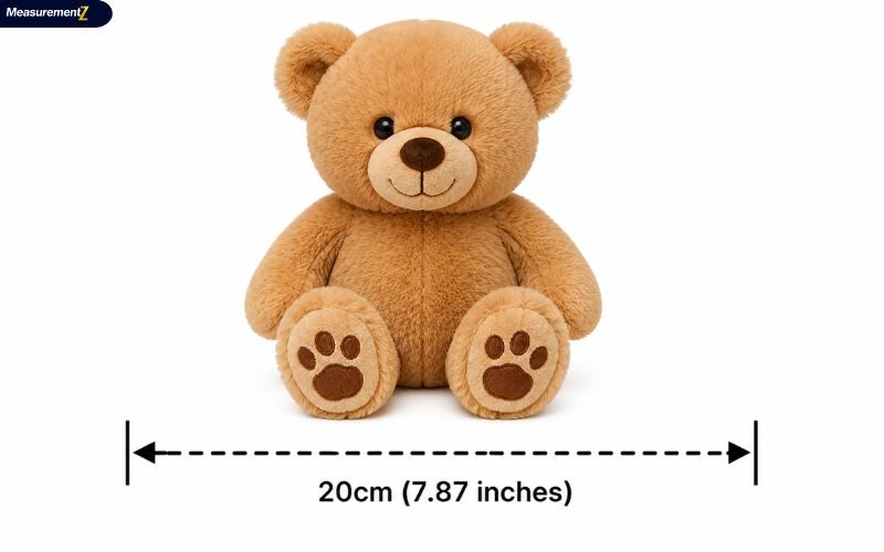 How Big Is 20CM