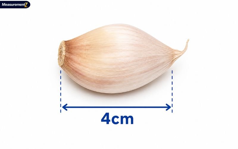 How Big Is 4 cm