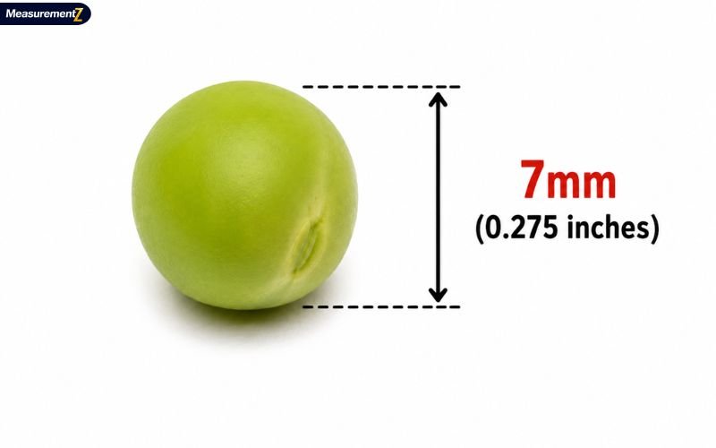 How Big Is 7mm