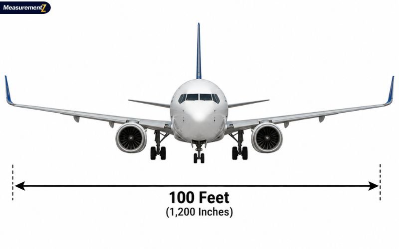 How Long Is 100 Feet