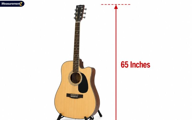 How Tall Is 65 Inches