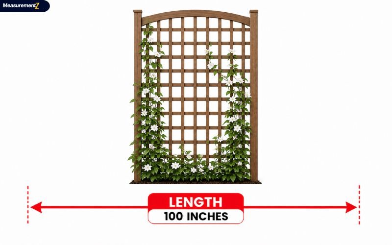 How Long Is 100 Inches