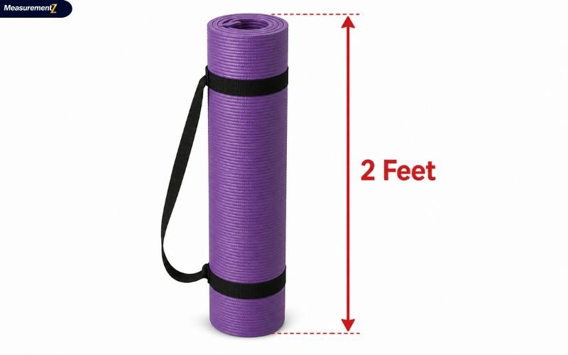 How Long Is 2 Feet