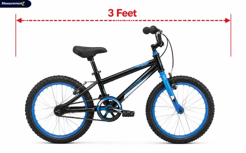 How Long Is 3 Feet