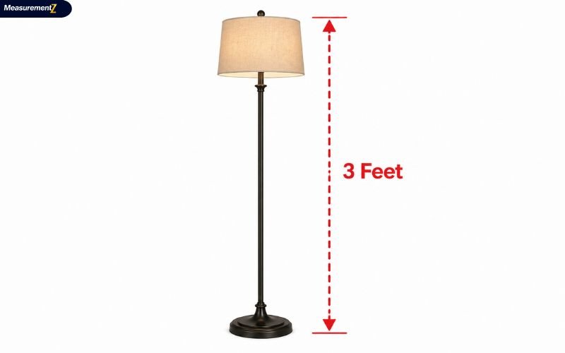 How Long Is 3 Feet